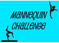 Mannequin Challenge